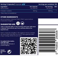 Genologix NAC (N-Acetyl L-Cysteine) (Antioxidant) - 120 Day Supply